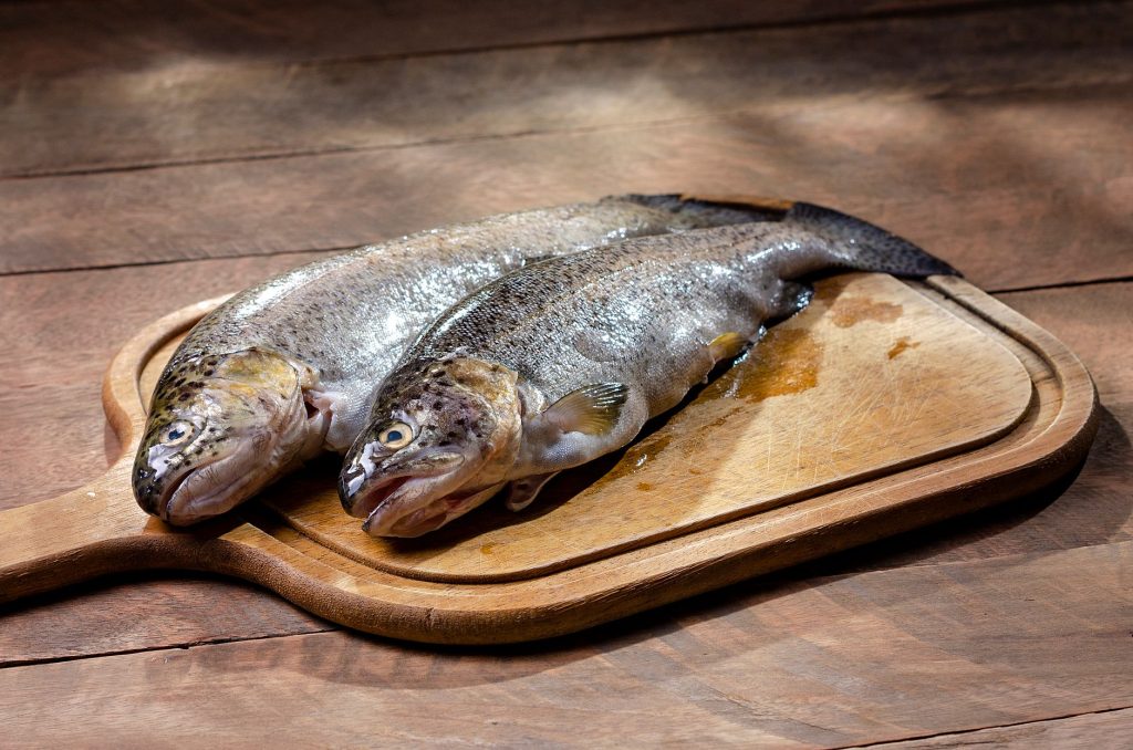 Himalayan trout packaged: The Best Proven Aquaculture Launch