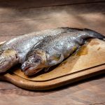 Himalayan trout packaged: The Best Proven Aquaculture Launch